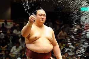 Tradisi Seni Gulat Sumo sebagai Olahraga khas Jepang